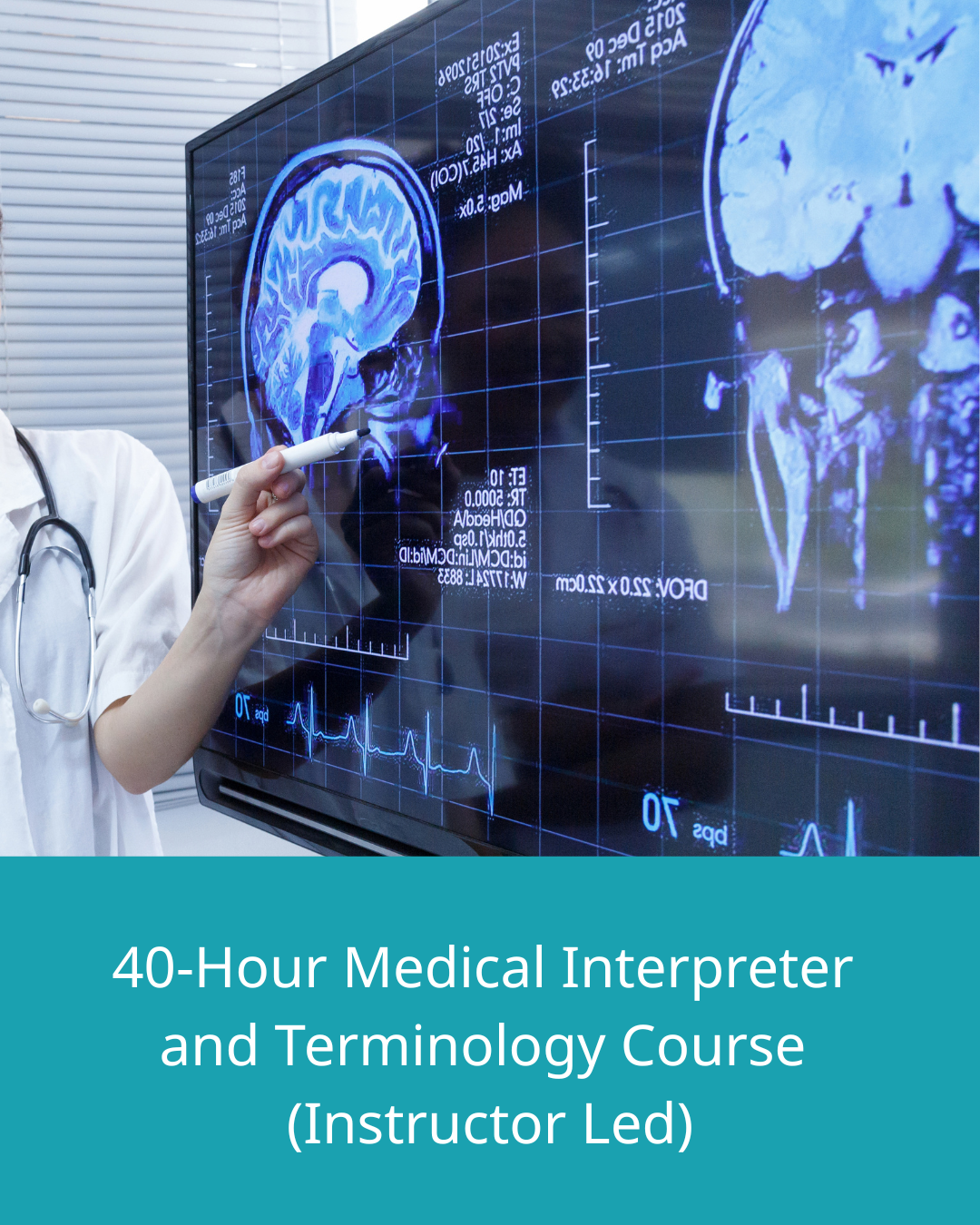 baklingual-instuctor-led-course-prod-image